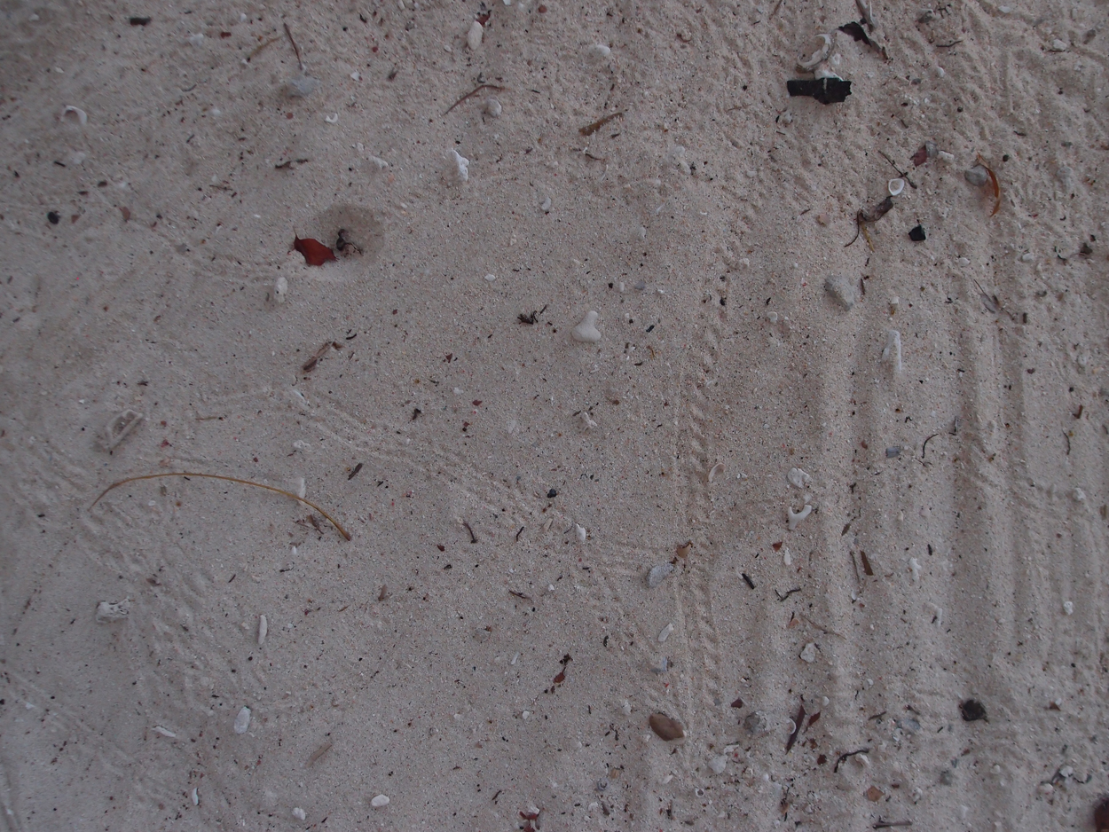 2015-10-04 Sand Komposition 3 (Foto)